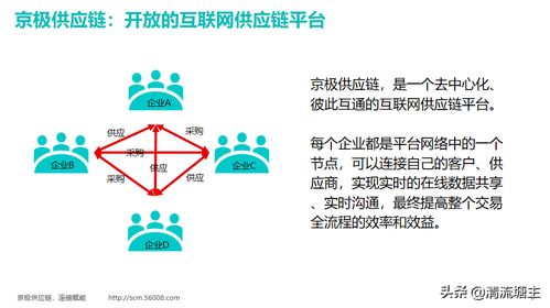 广州网络系统设计与开发 数字化转型的引擎
